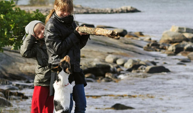 Ostseeurlaub mit hund