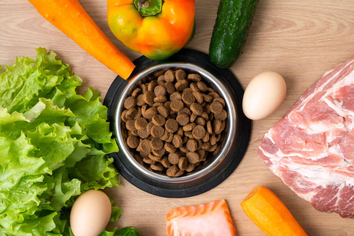 duerfen hunde eier essen 2