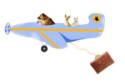 Fliegen mit Hund