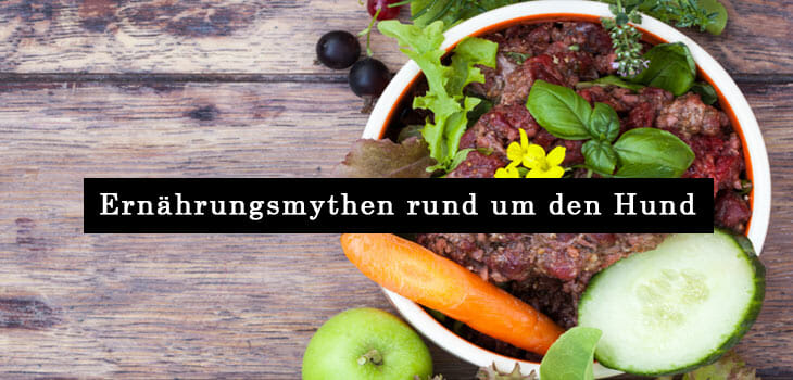 fuenf-ernaerungsmythen-rund-um-den-hund