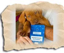 Heimtierpass für Hunde