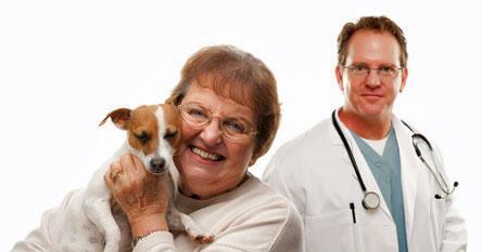 hundekrankenversicherung