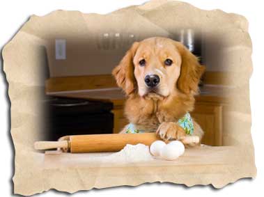 Hundekeks-Rezepte
