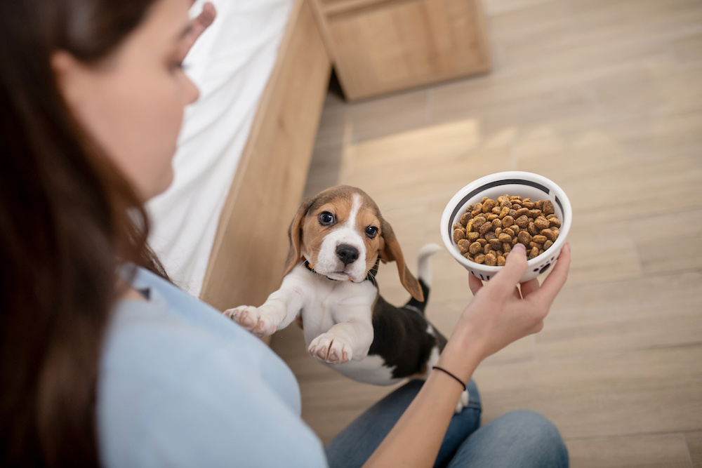 royal canin hypoallergenic hundefutter 2