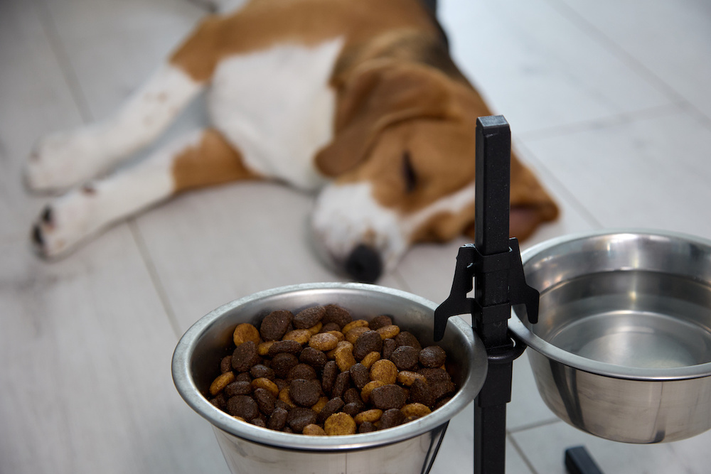 royal canin hypoallergenic hundefutter 3