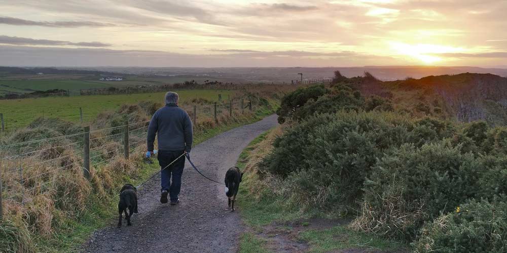 wanderurlaub mit hund in irland