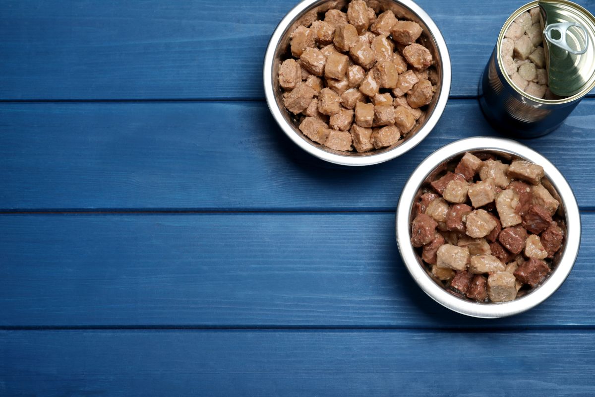 bestes hundefutter nass 2021 5
