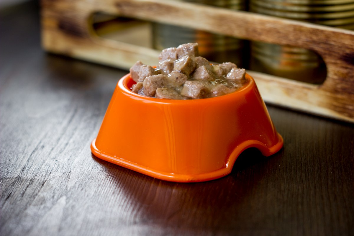 bestes hundefutter nass 2021 6