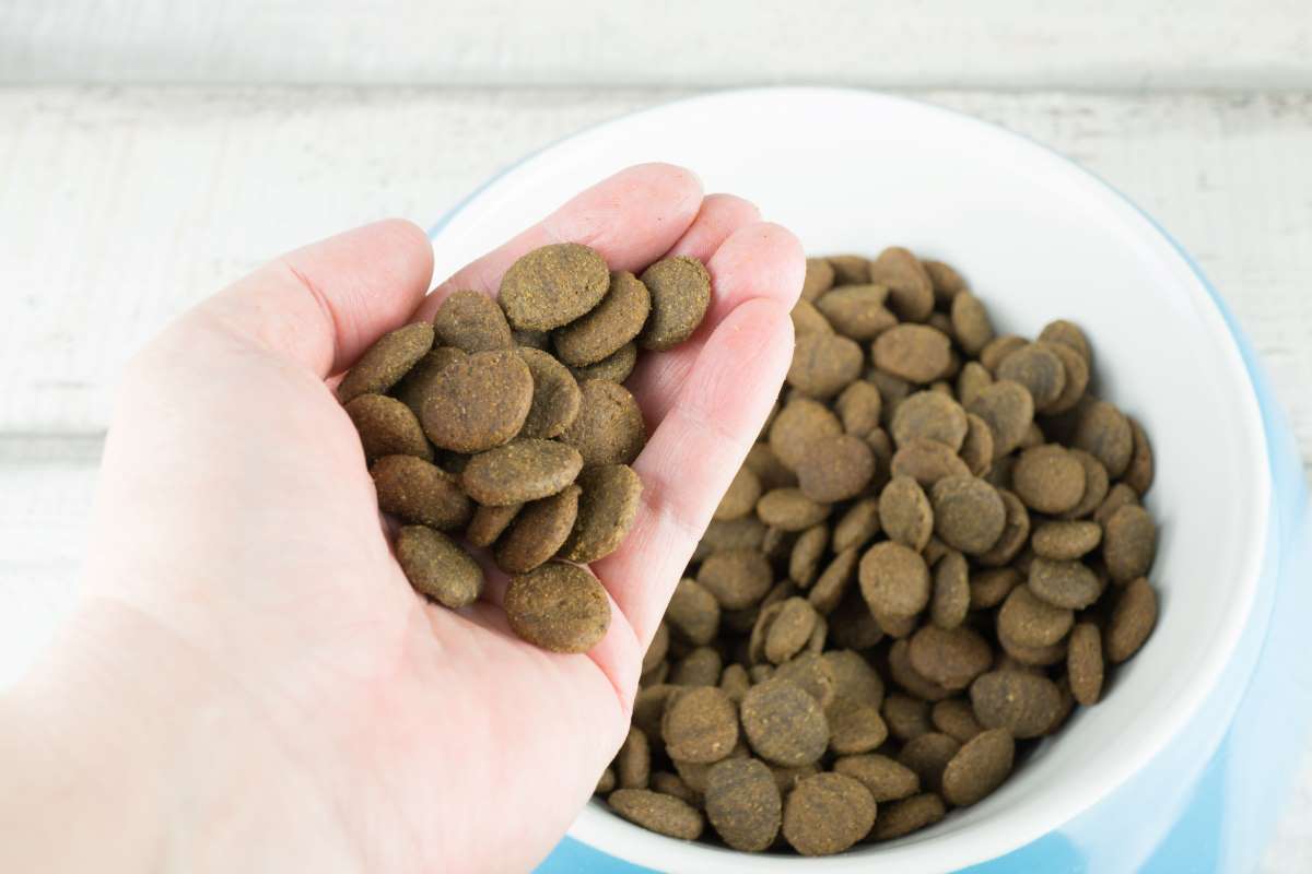 orijen hundefutter1