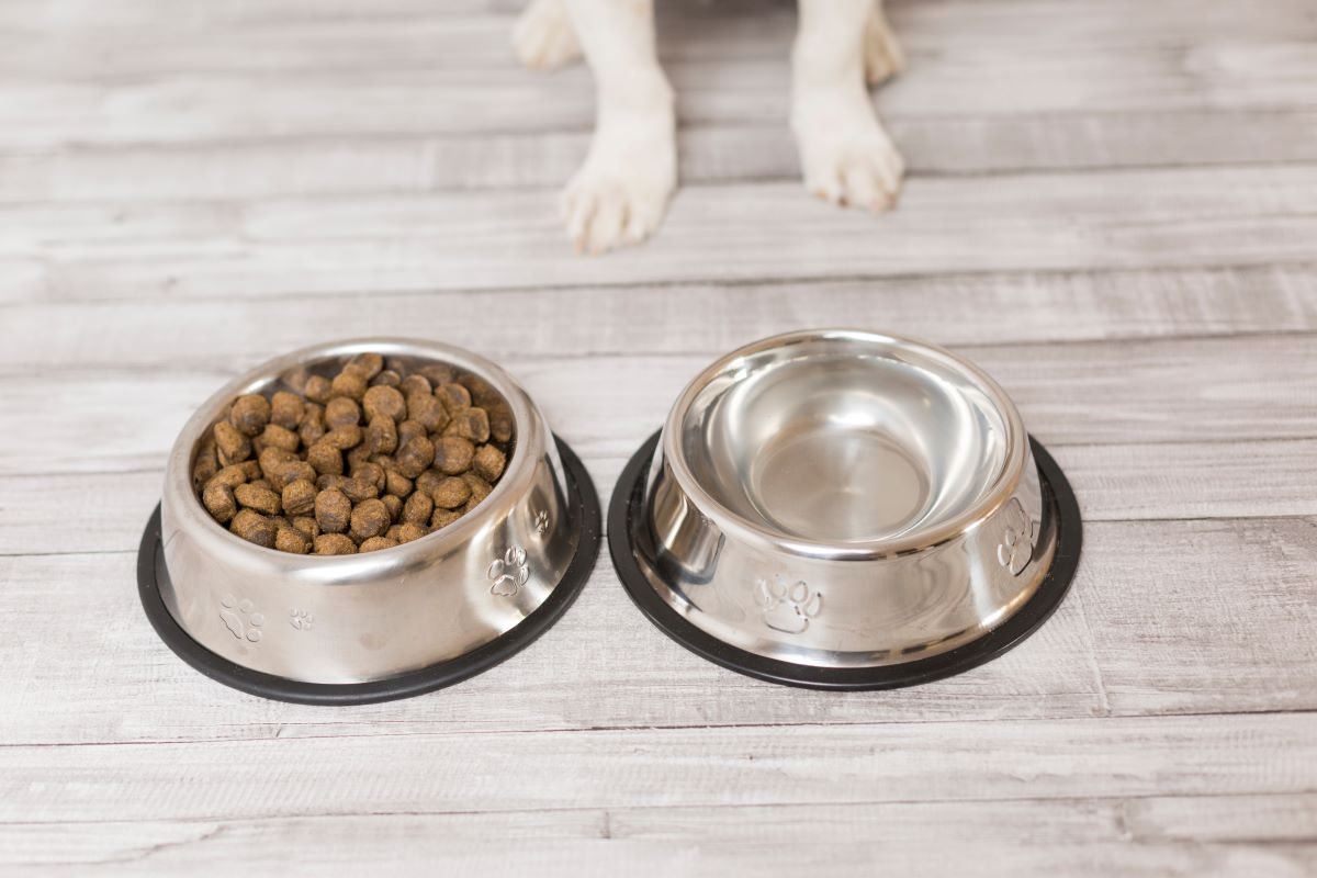 orijen hundefutter2