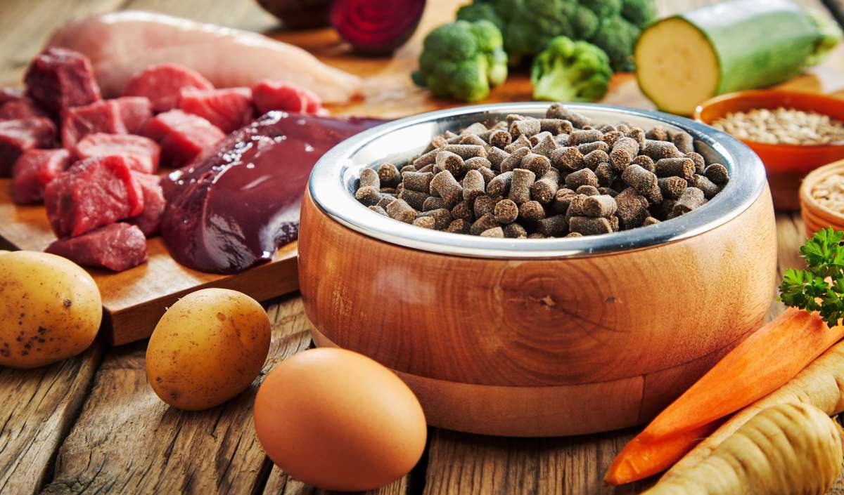 orijen hundefutter4