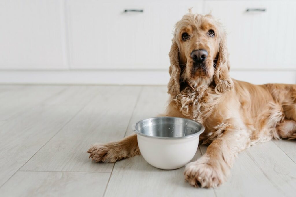 Markus Muehle Naturnah Hundefutter Sparpaket 2X15Kg 2 1