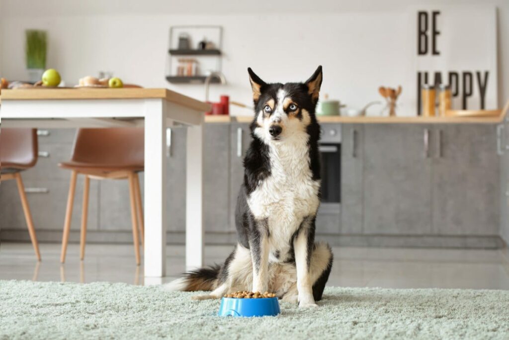 Markus Muehle Naturnah Hundefutter Sparpaket 2X15Kg 3 1