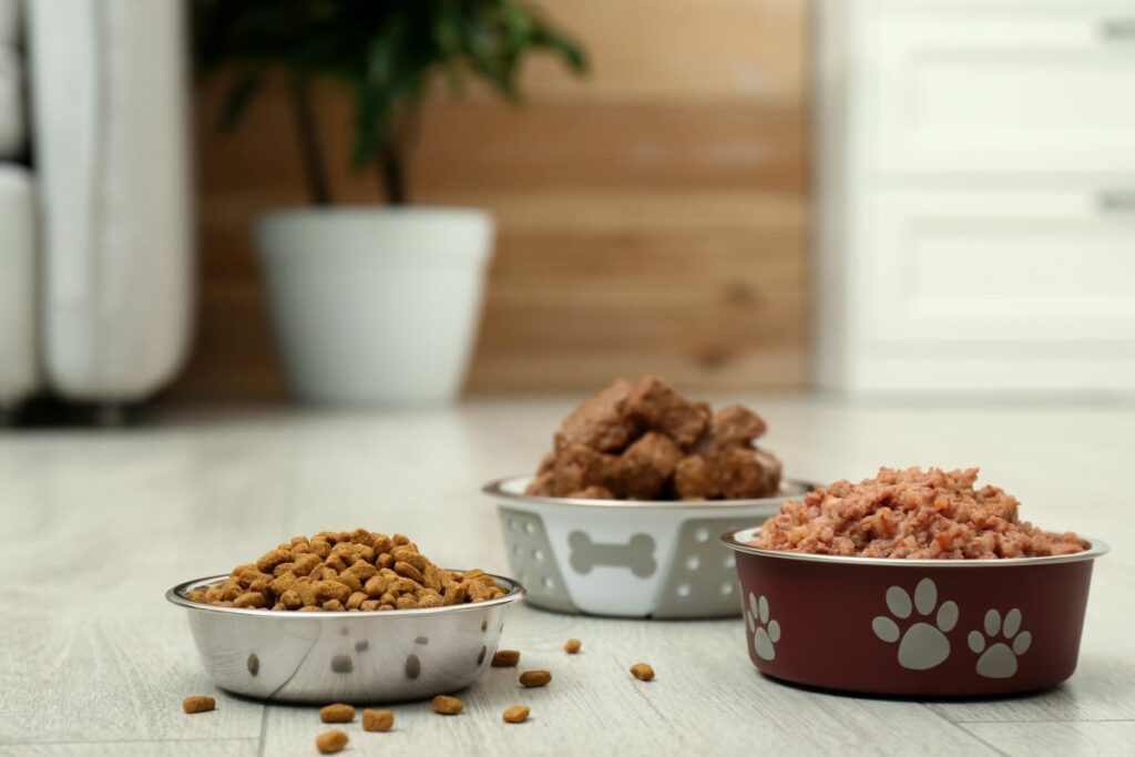 Xantara Hundefutter