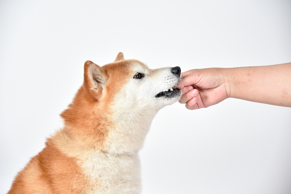 animonda hundefutter 2
