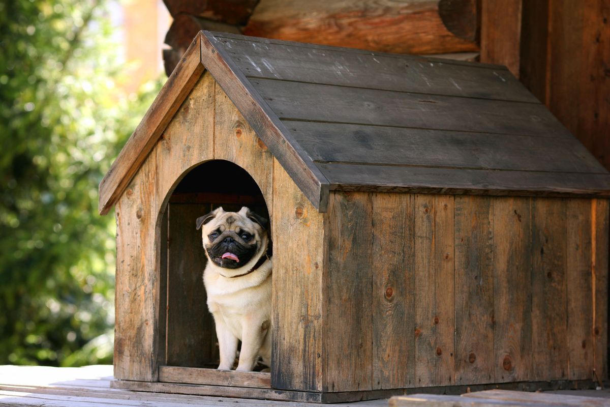 bausatz hundehuette 1