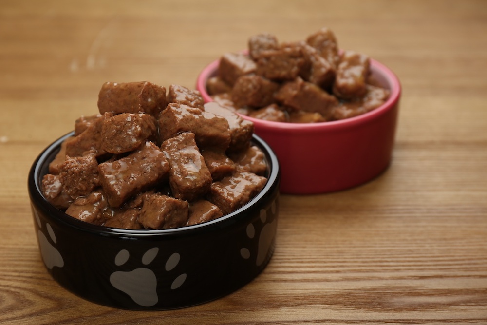 Bestes Hundefutter nass