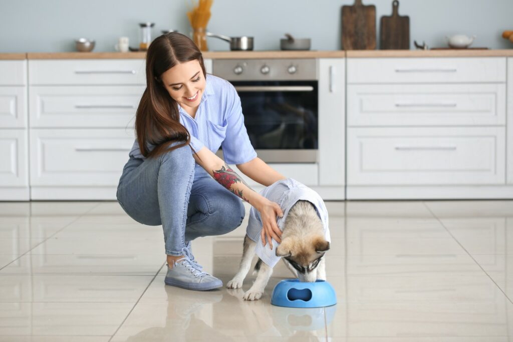 bosch maxi junior