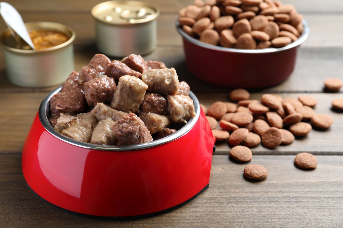 hundefutter nass 2