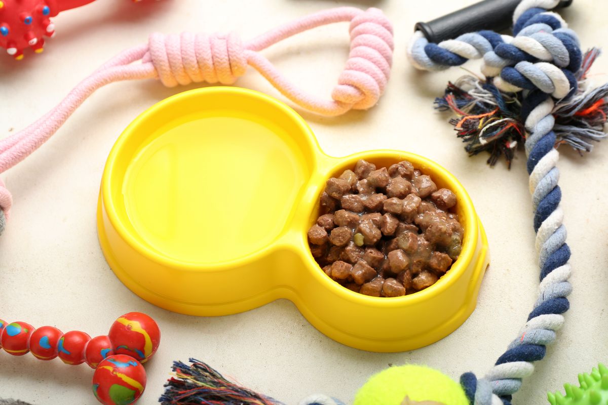 hundefutter nass 3