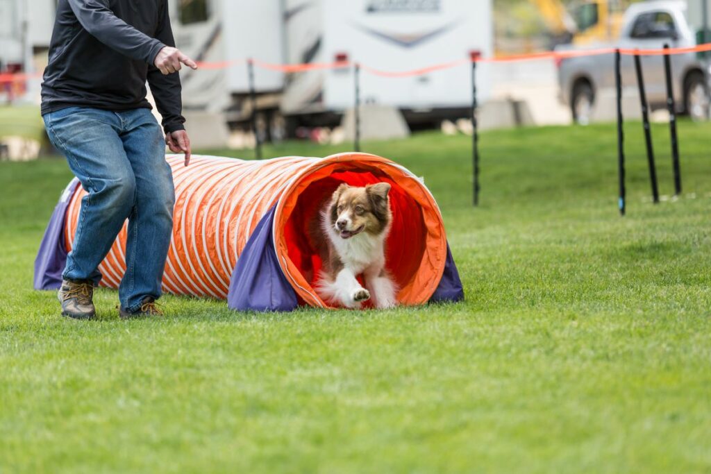 Agility Set