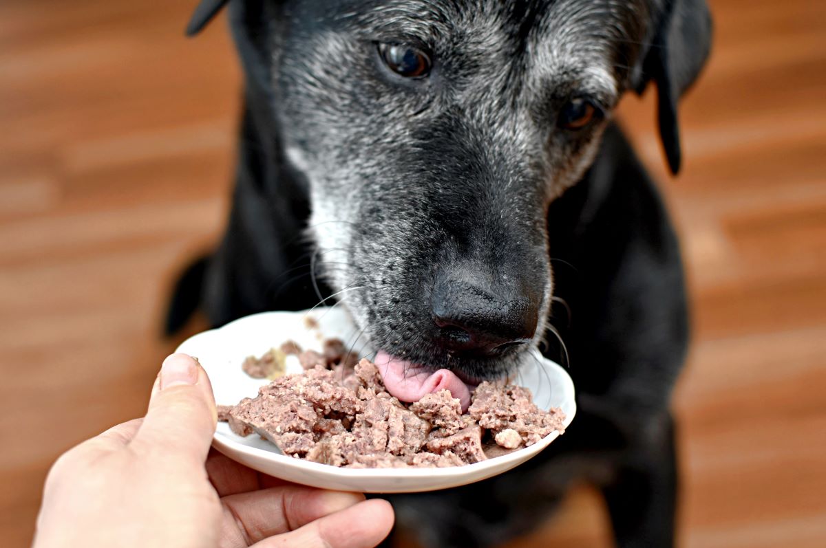 Landfleisch Hundefutter 1