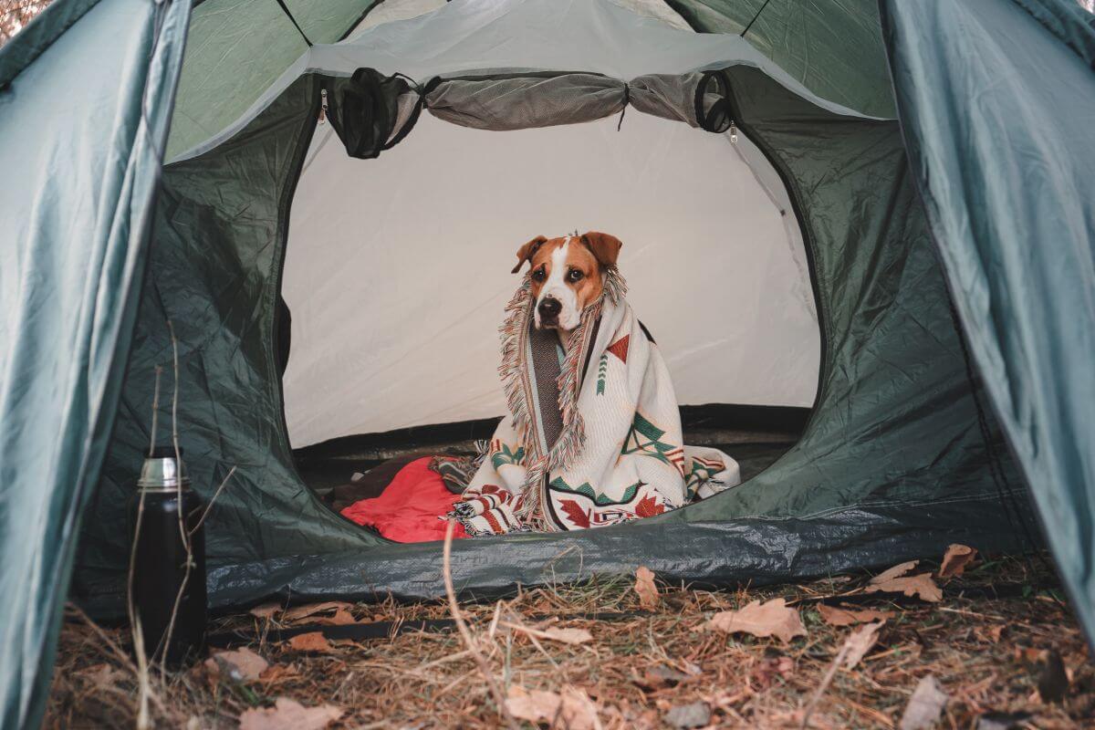 camping decken 1