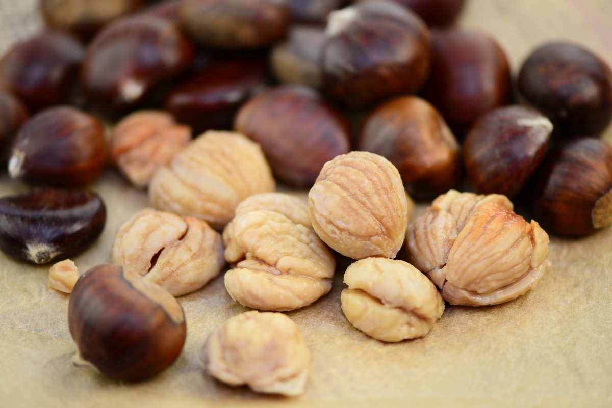 duerfen hunde maronen essen 1