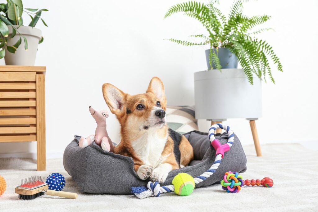 hundebett aus kunstleder 3