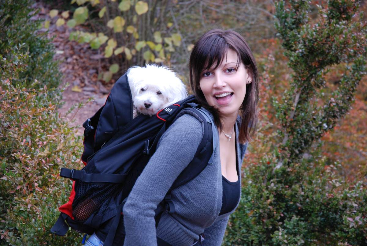 hunderucksack wandern 4