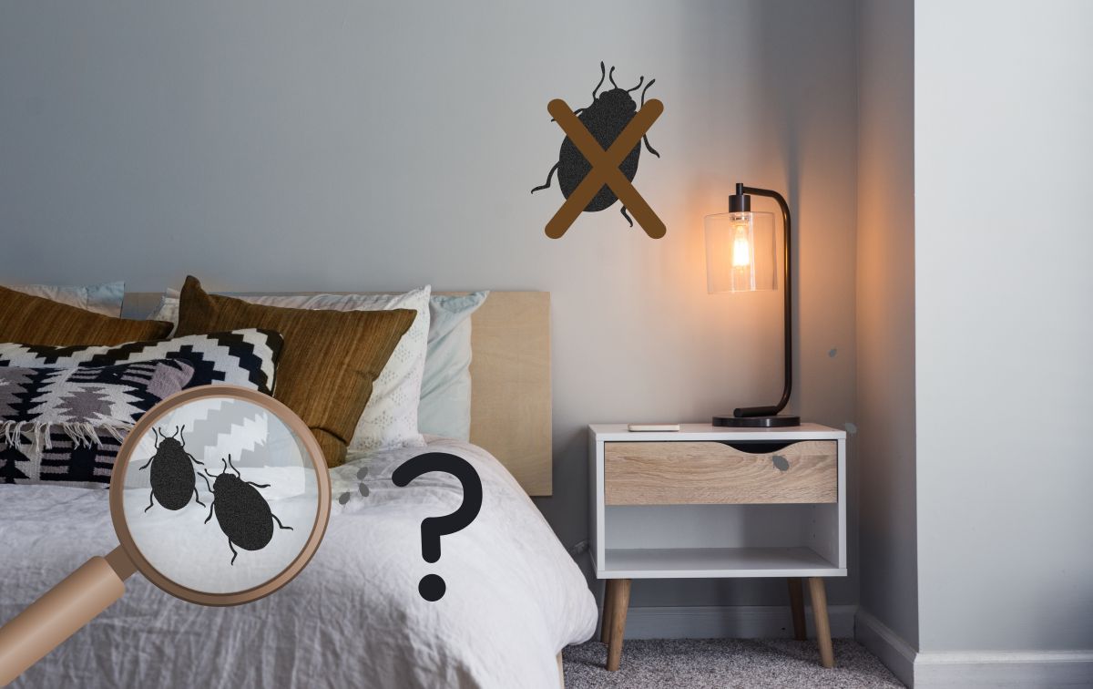Ardap Fogger Shclafzimmer 2