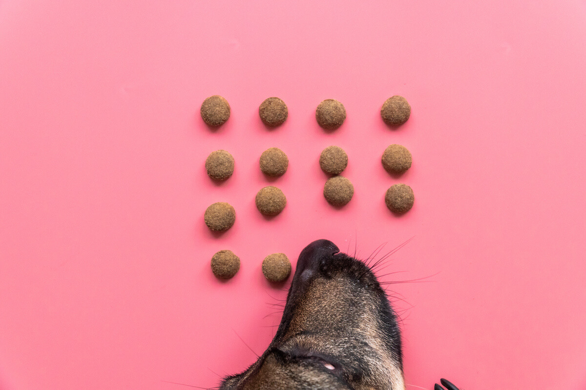 christopherus hundefutter 1