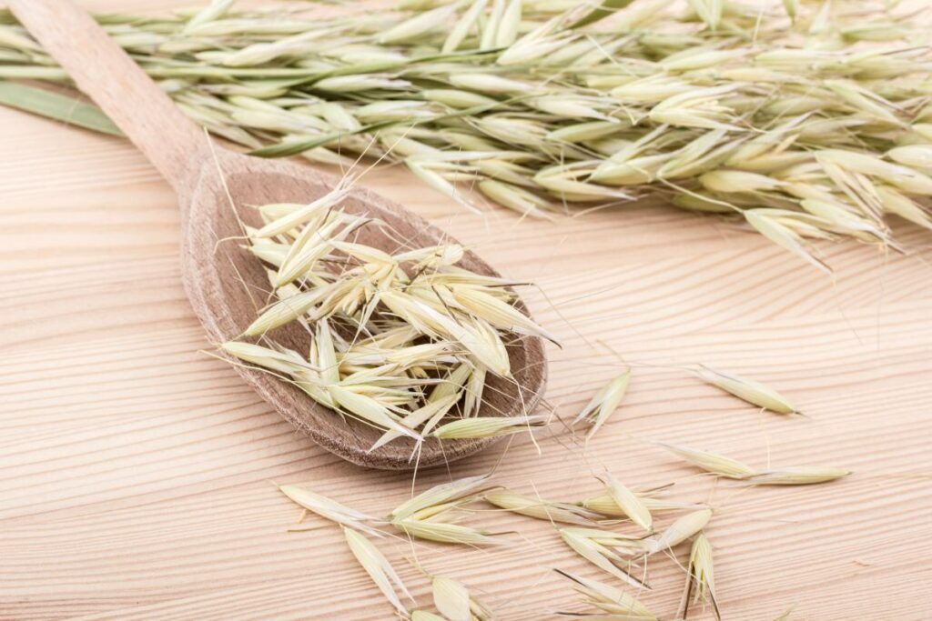 grüner hafertee