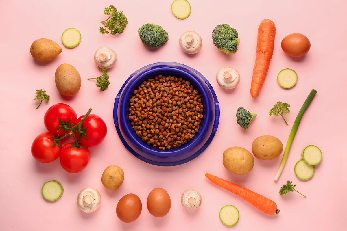 hypoallergenes hundefutter 2