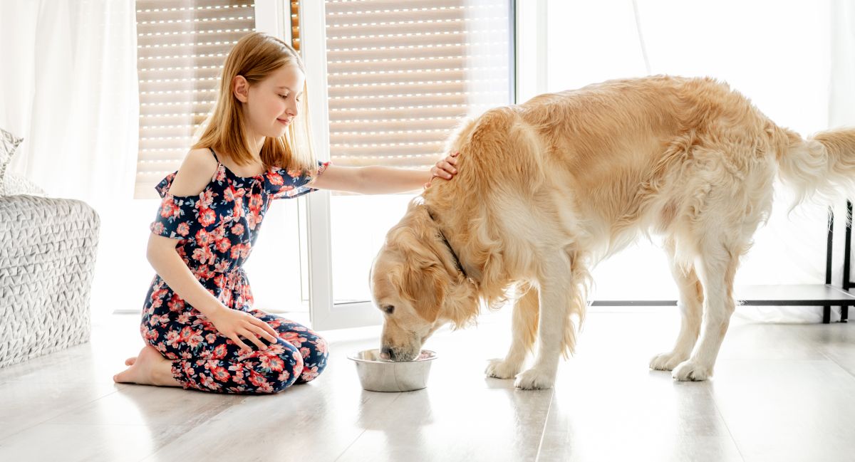 josera balance hundefutter 3