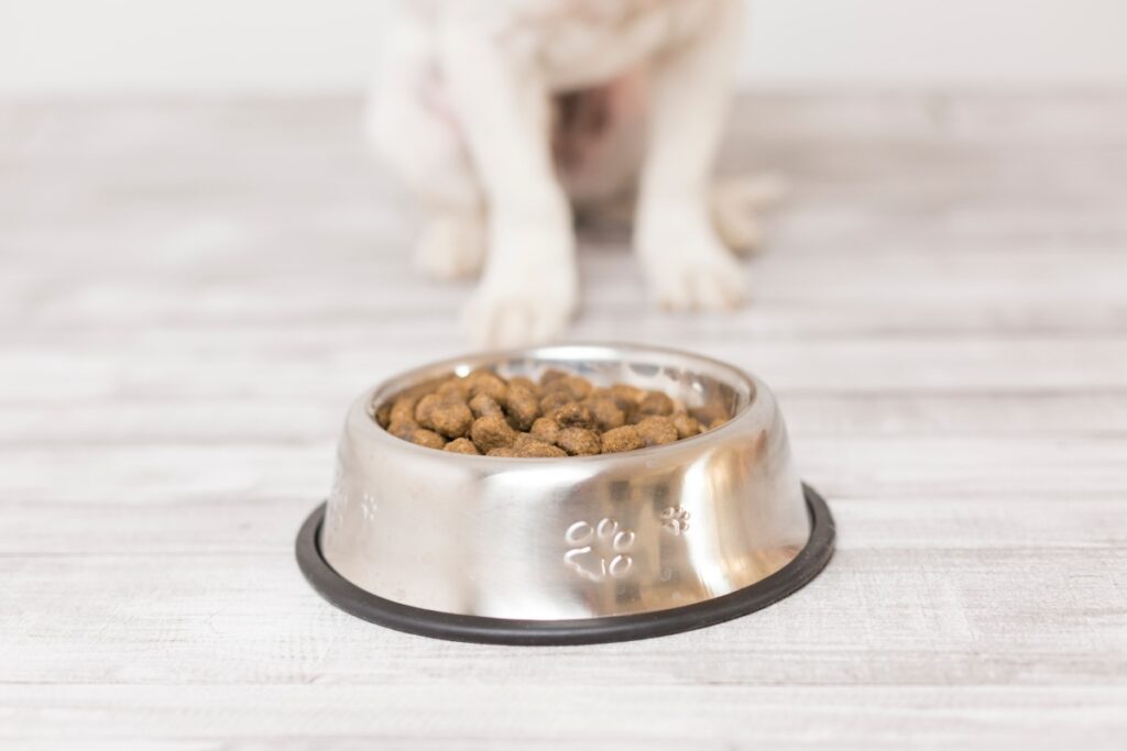 lidl hundefutter getreidefrei