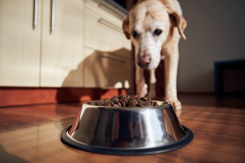 lidl hundefutter getreidefrei
