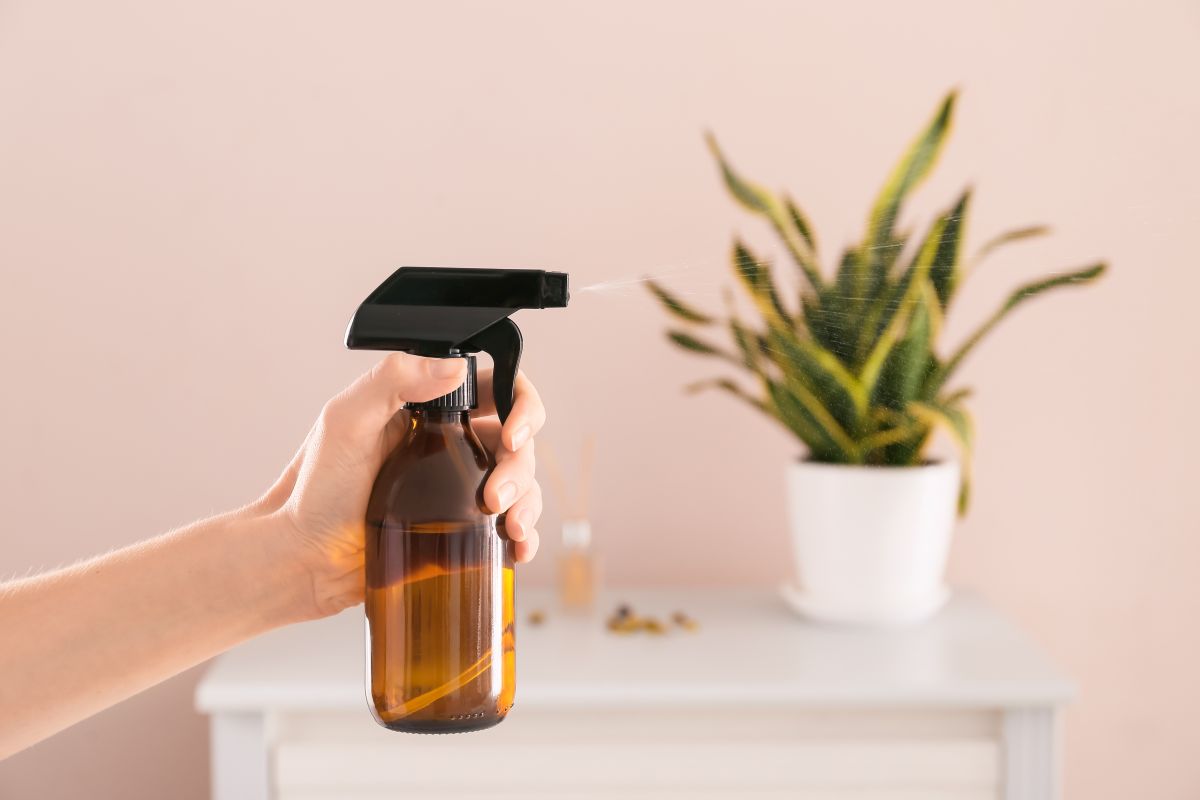 milbenspray dm 2