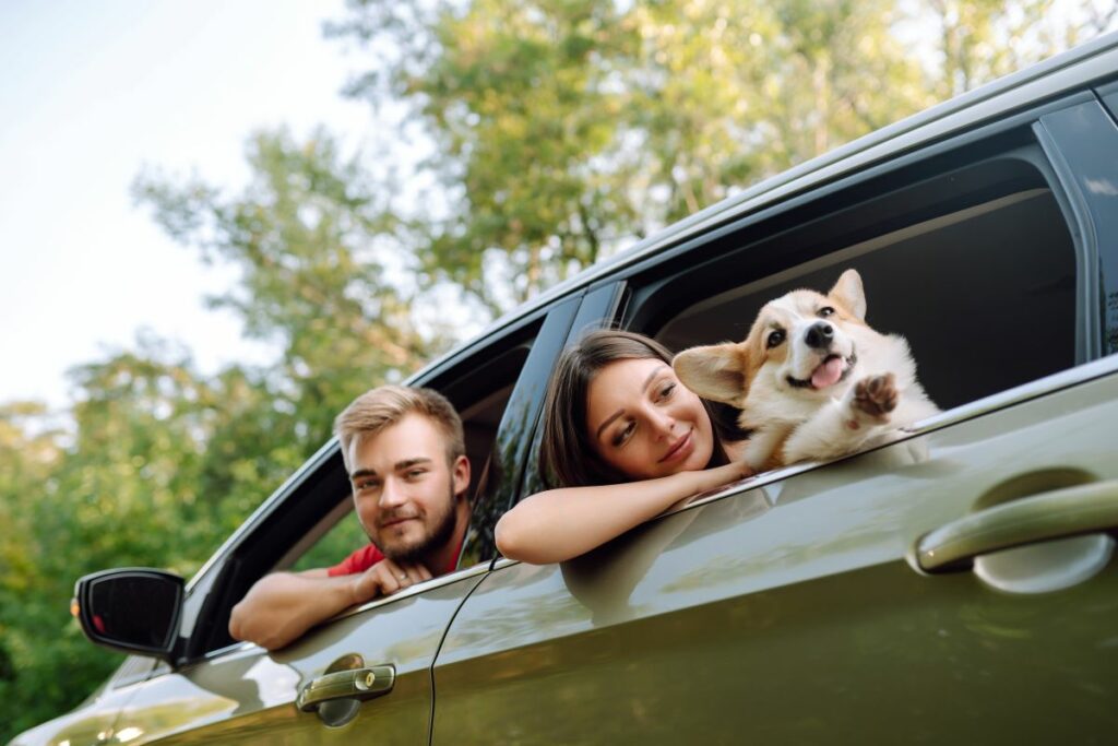 Autositz für Hunde bis 15 Kg