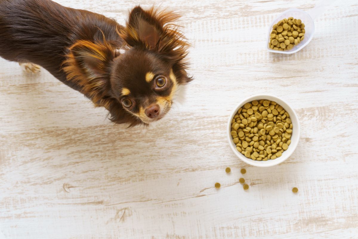 Platinum Hundefutter Fressnapf 3