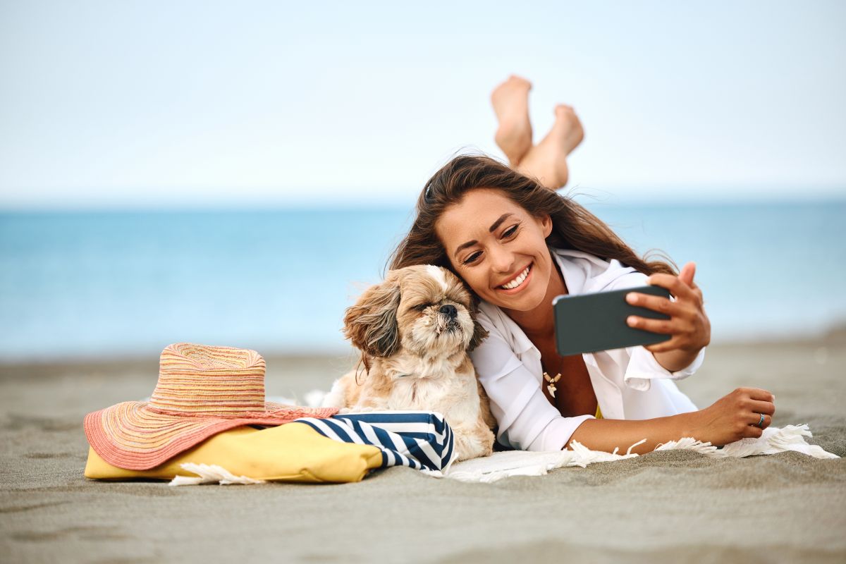 Reisetabletten fuer Hunde aus der Apotheke 2