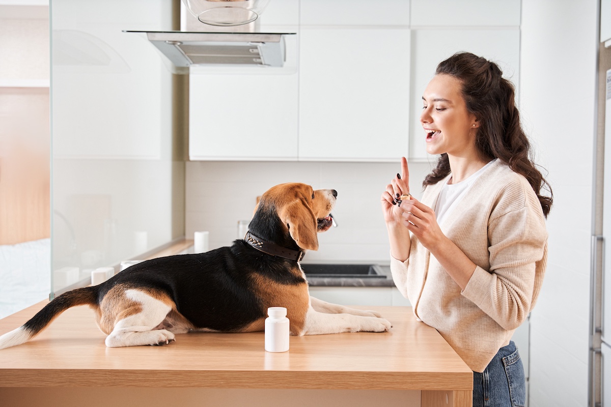 Vitamine für Hunde