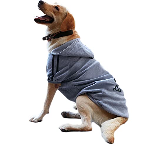 101668