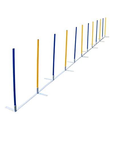 103446