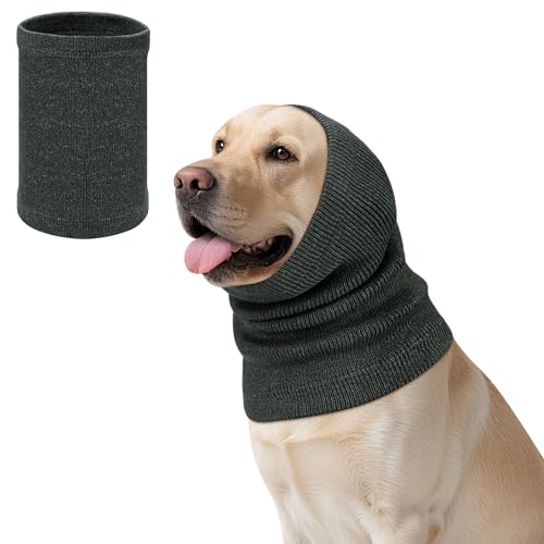 104036