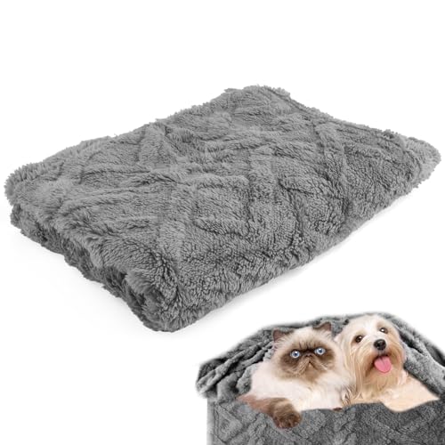 10661