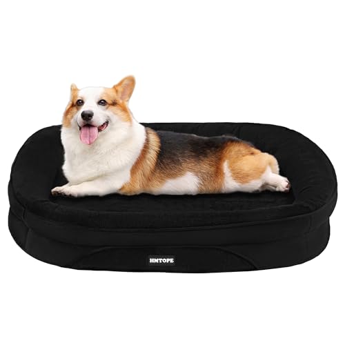 10831