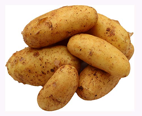 115837
