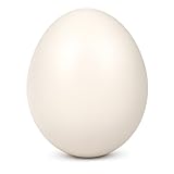 116923