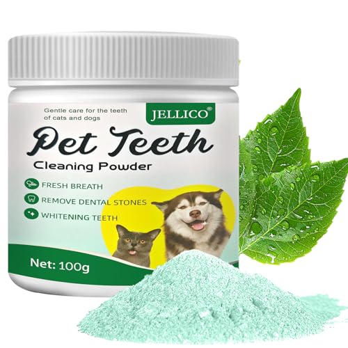 121729